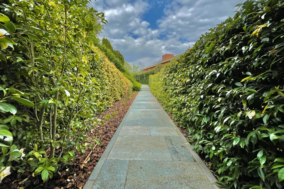 Montagnola: Appartamento 5.5 locali moderno con giardino privato in affitto – foto 13 di 13