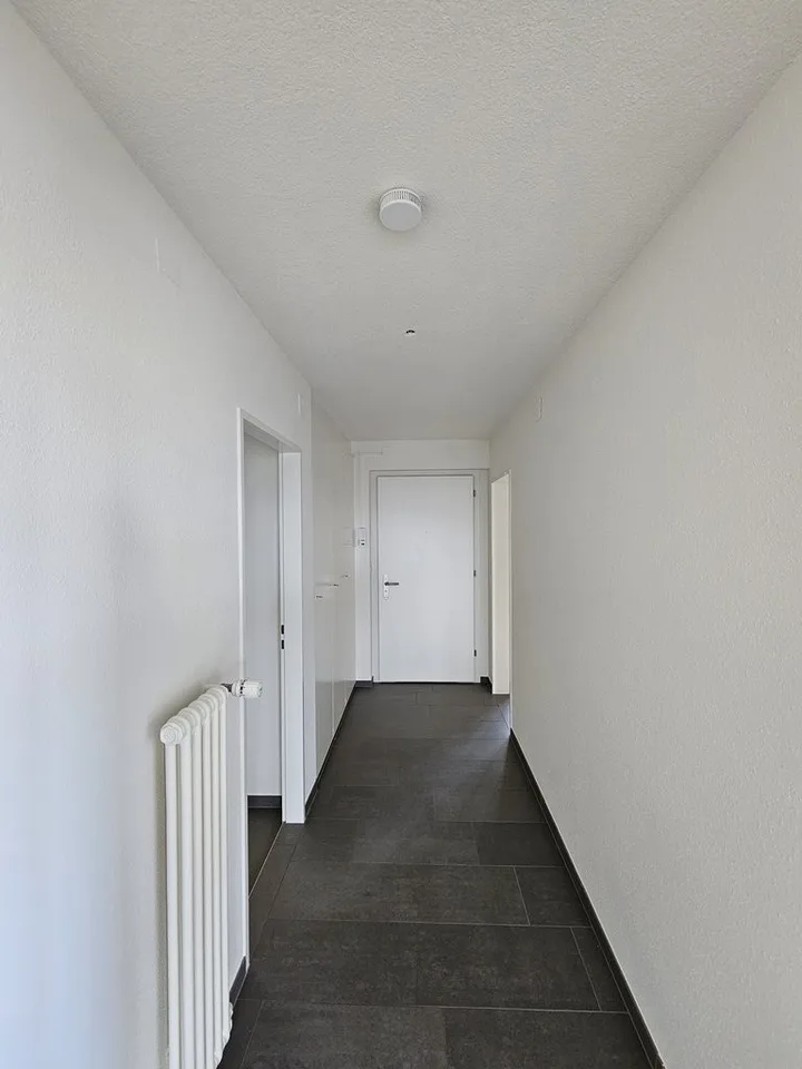 Appartamento moderno in affitto ad Adliswil – foto 7 di 9
