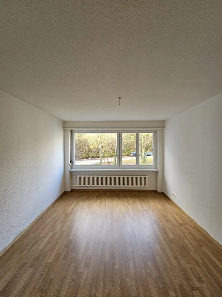 Appartamento moderno in affitto ad Adliswil – foto 5 di 9