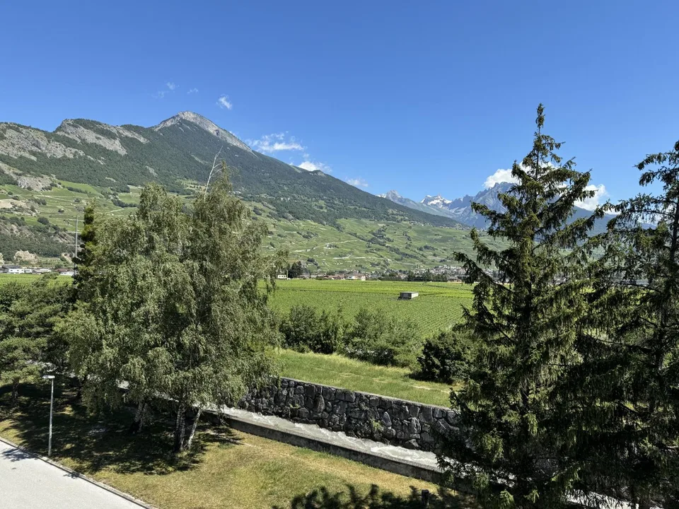 Angenehme 3,5 Zimmer renoviert in Ardon – Foto 8 von 8