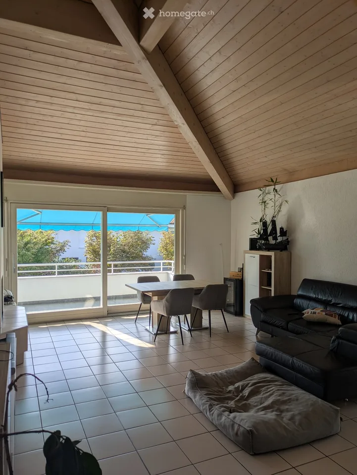 Schöne 3.5-Zimmer-Wohnung mit 100m2 gesucht – Foto 5 von 5