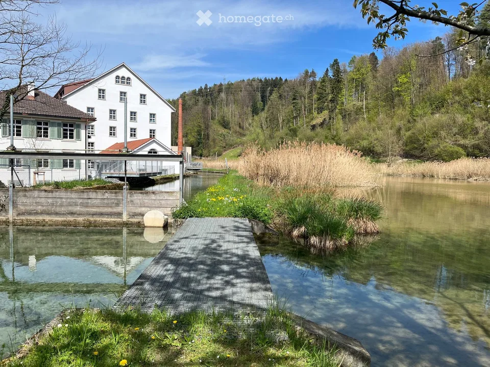 Loft de jardin unique directement sur l'eau – terrasse et accès aux bains – photo 16 sur 17