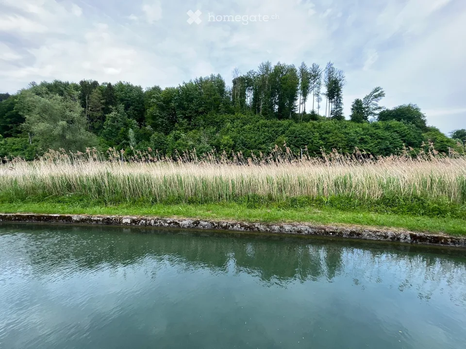 Loft de jardin unique directement sur l'eau – terrasse et accès aux bains – photo 15 sur 17