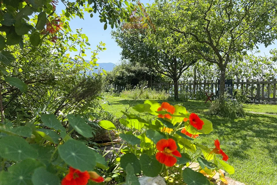 Paradiso di 4.5 locali a Buseno / Paradies mit 4.5 Zimmern in Buseno – foto 10 di 13