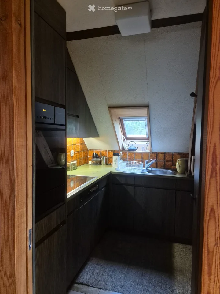 ancienne ferme au bord de la forêt avec 2 appartements – photo 11 sur 15