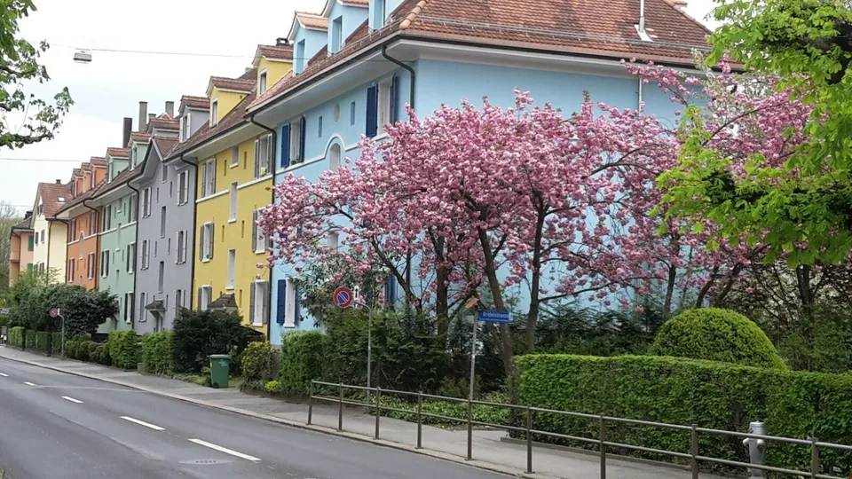 zentrale 2½ Zimmer-Dachwohnung, moderne Küche und Bad – Foto 11 von 11