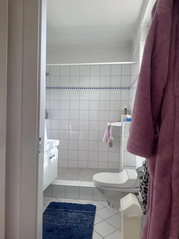 Casa unifamiliare affascinante in una posizione tranquilla nel cuore di Winterthur – foto 16 di 22
