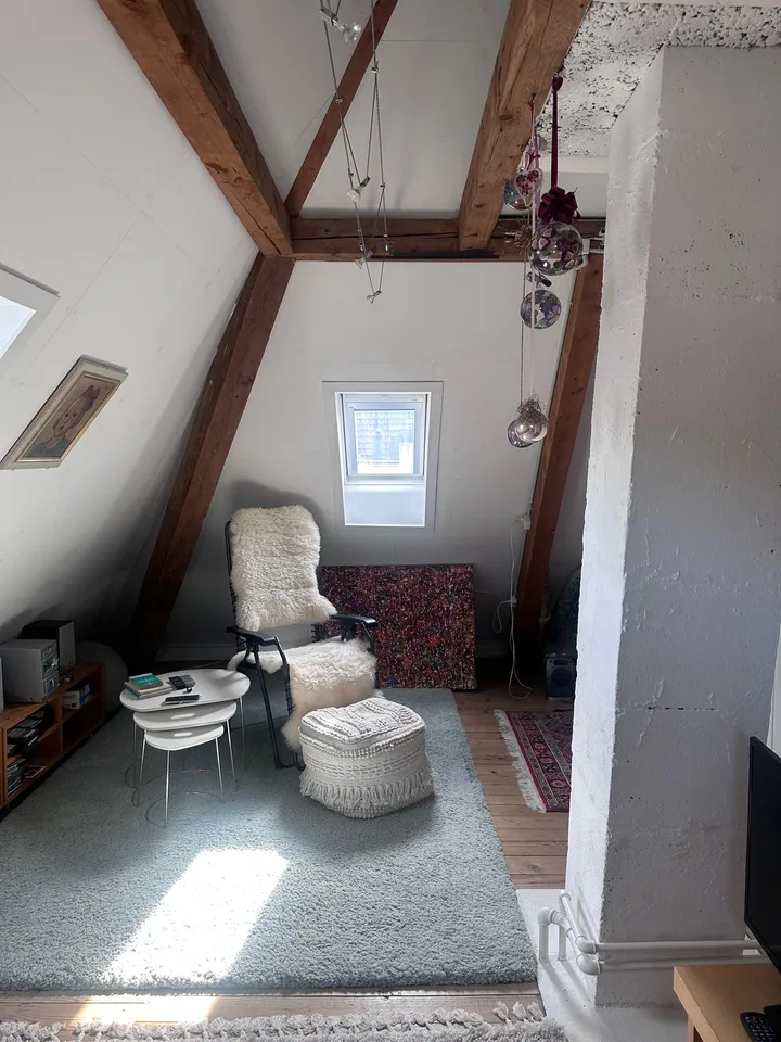 Casa unifamiliare affascinante in una posizione tranquilla nel cuore di Winterthur – foto 14 di 22
