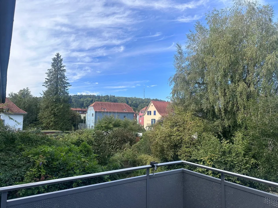 Casa unifamiliare affascinante in una posizione tranquilla nel cuore di Winterthur – foto 5 di 22