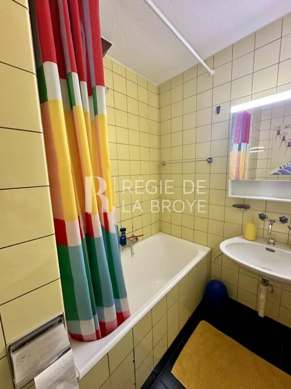 1.5 room apartment in Estavayer-le-Lac – photo 4 of 4