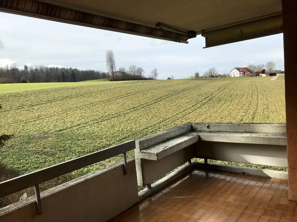 Vivere nel verde - con caminetto e balcone ad Altstetten - TEMPORANEO – foto 7 di 8