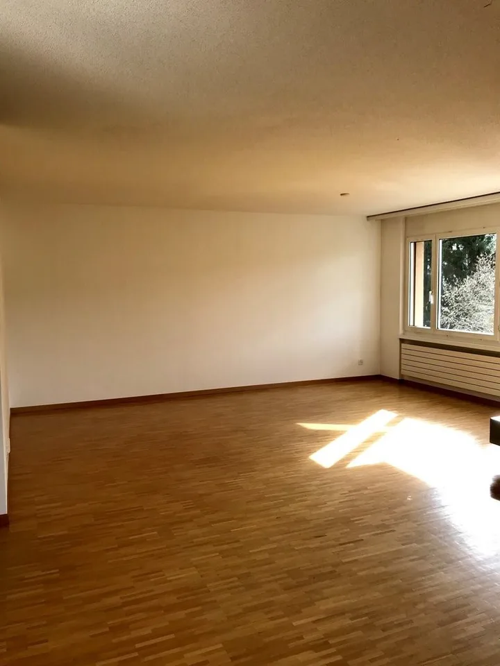 Vivere nel verde - con caminetto e balcone ad Altstetten - TEMPORANEO – foto 3 di 8