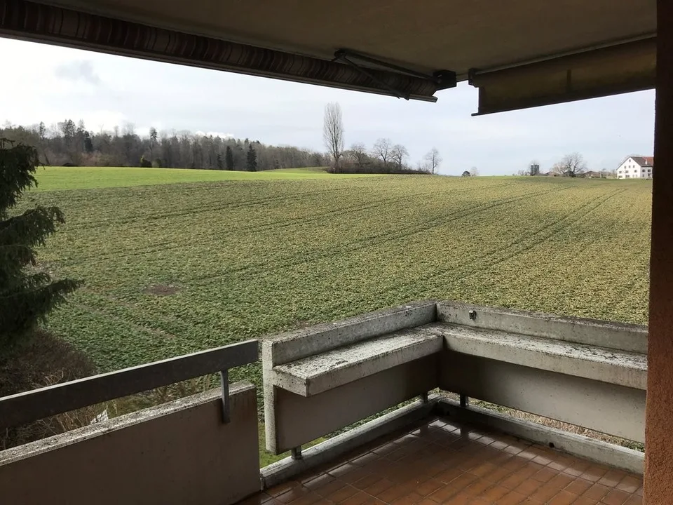Vivere nel verde - con caminetto e balcone ad Altstetten - TEMPORANEO – foto 6 di 8