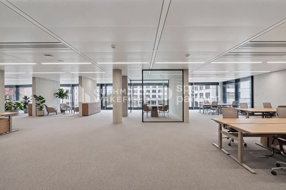 Trembley 12, uffici luminosi di 272 m² a Petit-Saconnex – foto 5 di 13