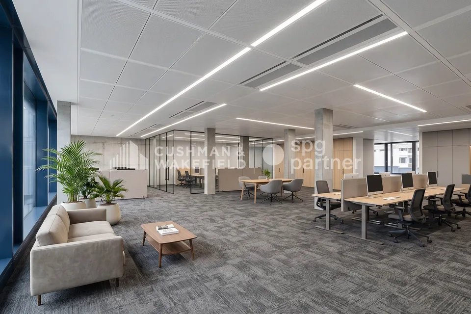 Trembley 12, uffici luminosi di 272 m² a Petit-Saconnex – foto 9 di 13
