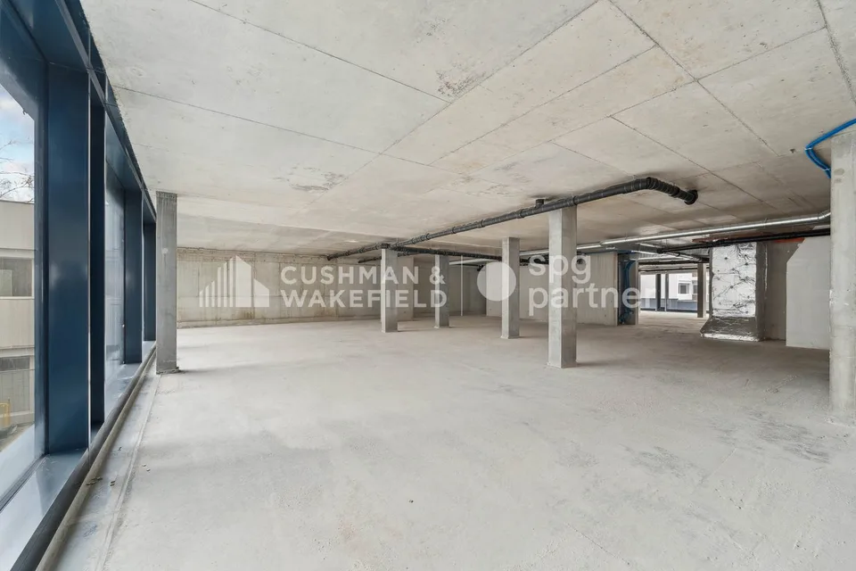 Trembley 12, uffici luminosi di 272 m² a Petit-Saconnex – foto 8 di 13