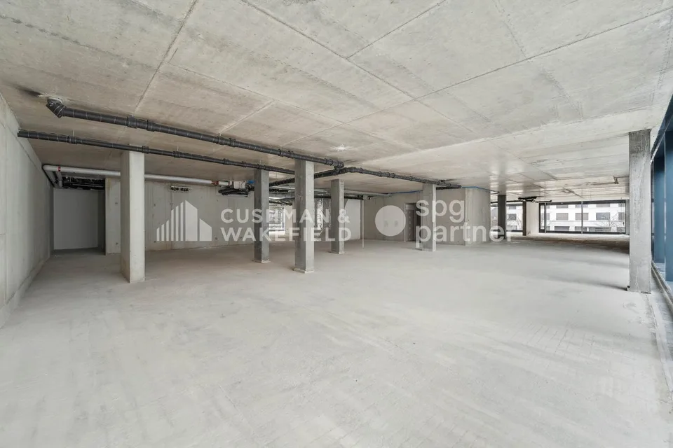 Trembley 12, uffici luminosi di 272 m² a Petit-Saconnex – foto 10 di 13