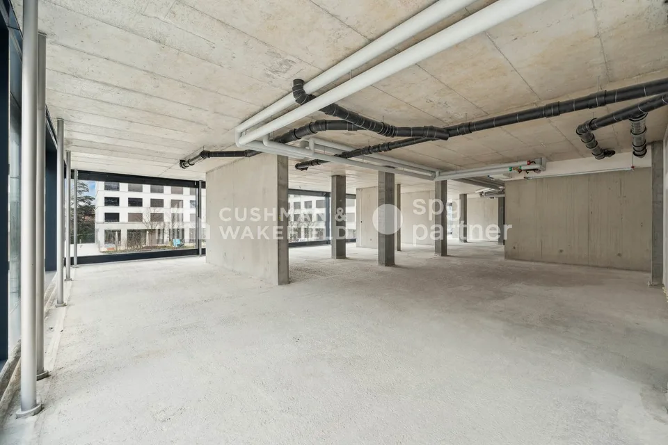 Trembley 12, managed area of 215 m² in a green setting – photo 12 of 13