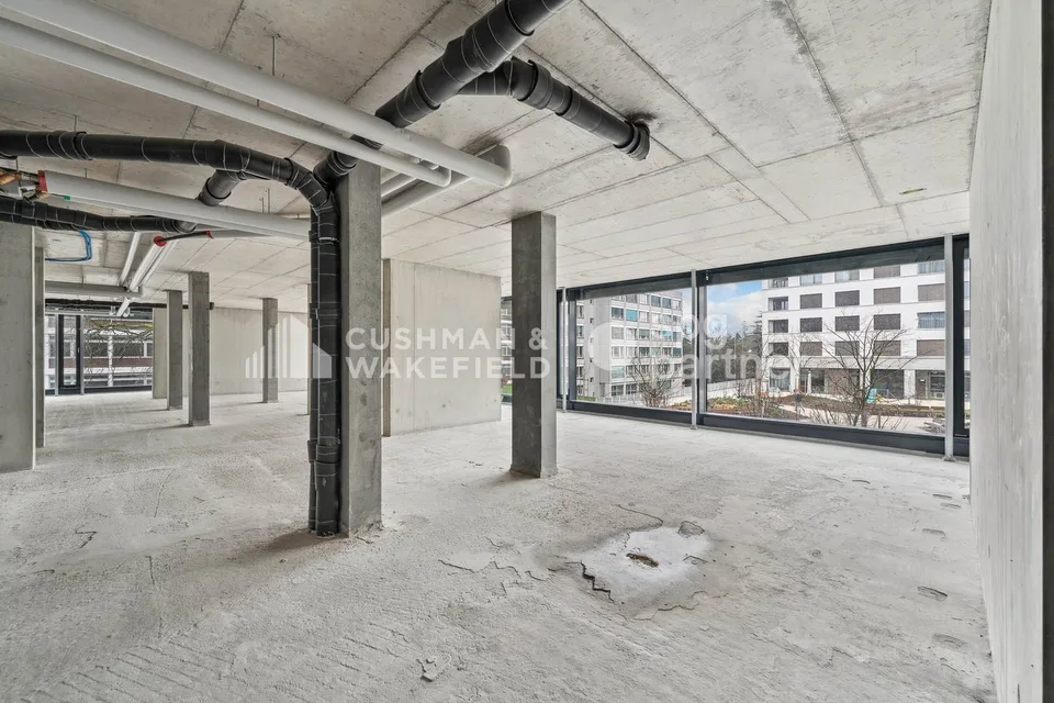 Trembley 12, managed area of 215 m² in a green setting – photo 6 of 13