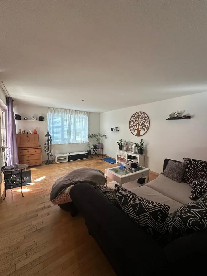 Appartamento luminoso 3.5 locali a Siggenthal Station – foto 4 di 11