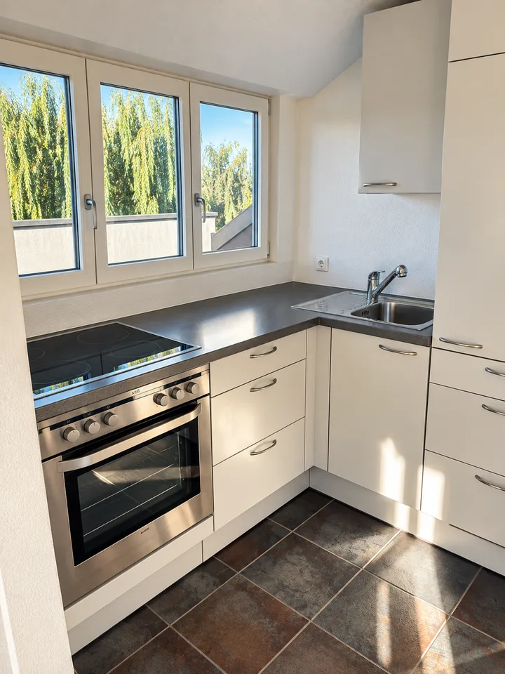 Appartement spacieux 2 pièces au bord du lac Untersee – photo 2 sur 7