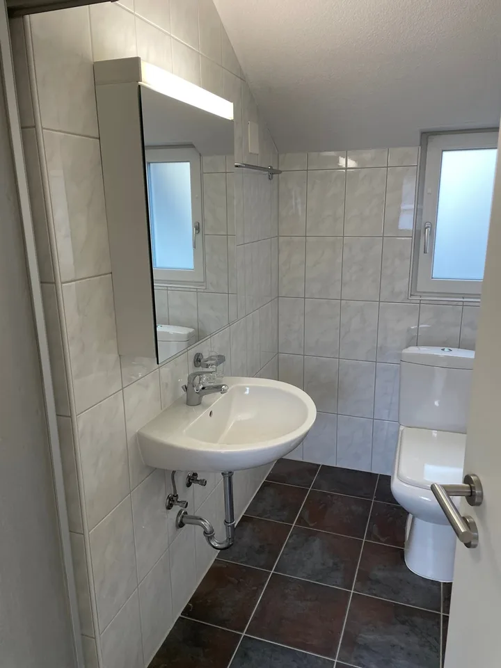 Appartement spacieux 2 pièces au bord du lac Untersee – photo 6 sur 7