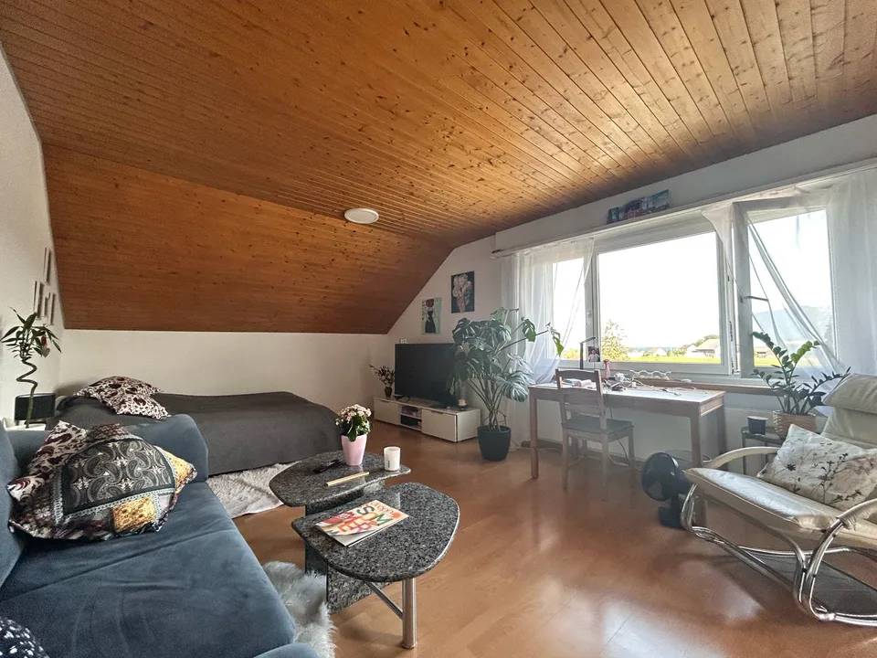 Grosszügige 2.5-Zimmer-Dachwohnung mit Garage - auch als Kapitalanlage – Foto 6 von 13
