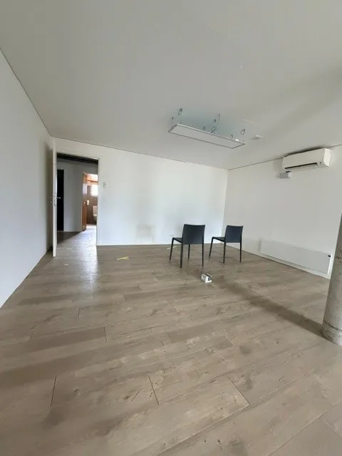Zu vermieten – Gewerbefläche von 170 m² in Fully, unterteilt in 3 unabhängige Räume – Foto 7 von 13