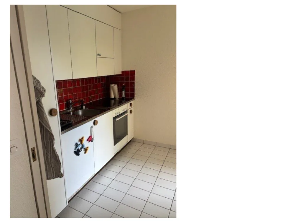Appartamento accogliente di 2,5 locali al piano terra a Hünenberg – foto 2 di 5