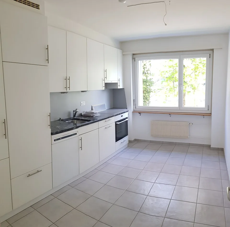 Appartement 4,5 pièces directement sur la Zihl – photo 6 sur 9