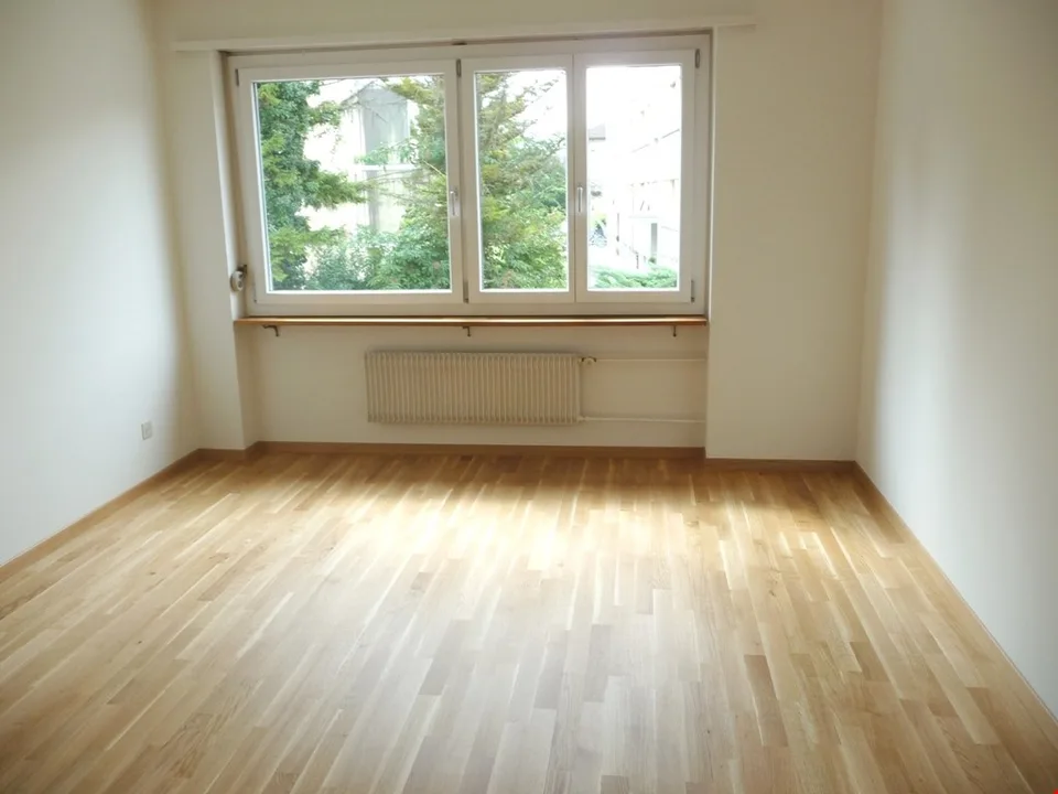 Appartement 4,5 pièces directement sur la Zihl – photo 4 sur 9