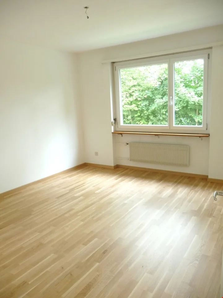 Appartement 4,5 pièces directement sur la Zihl – photo 3 sur 9