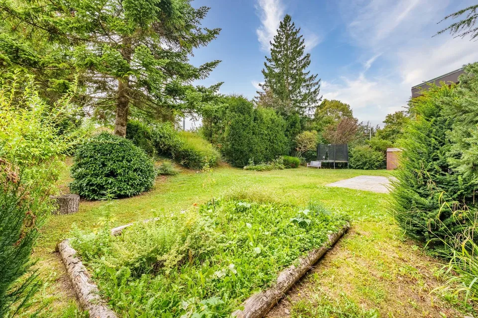 Villa im Erdgeschoss mit schönem Garten – Foto 2 von 12