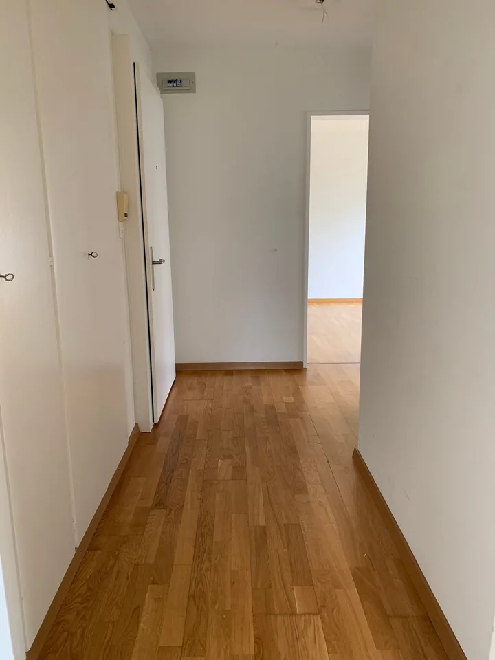 Appartamento cooperativo di 2,5 locali a Egg b. Zürich – foto 4 di 7