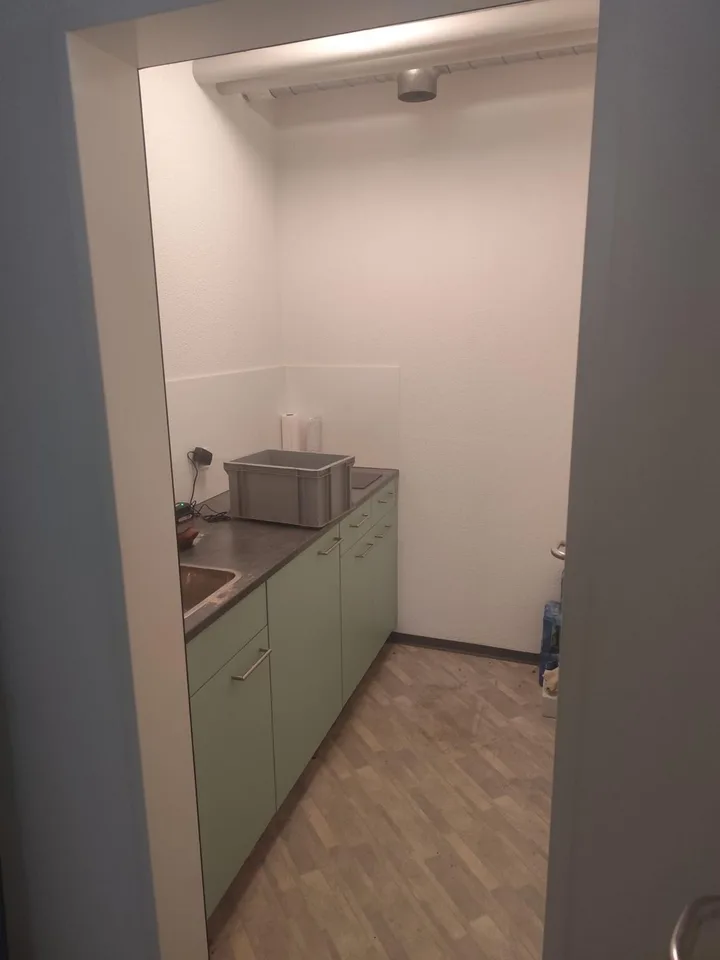 Vielseitige Gewerbefläche mit 140 m² in Lupfig zu vermieten – Foto 10 von 12