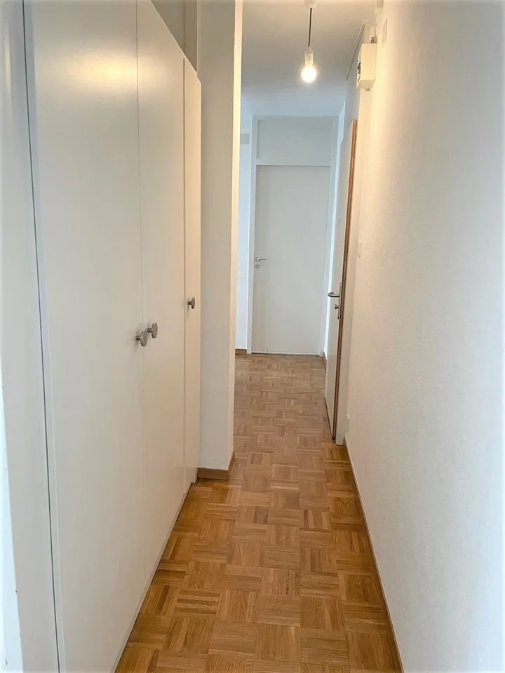 Eaux-Vives: schönes Apartment mit Balkon – Foto 9 von 11