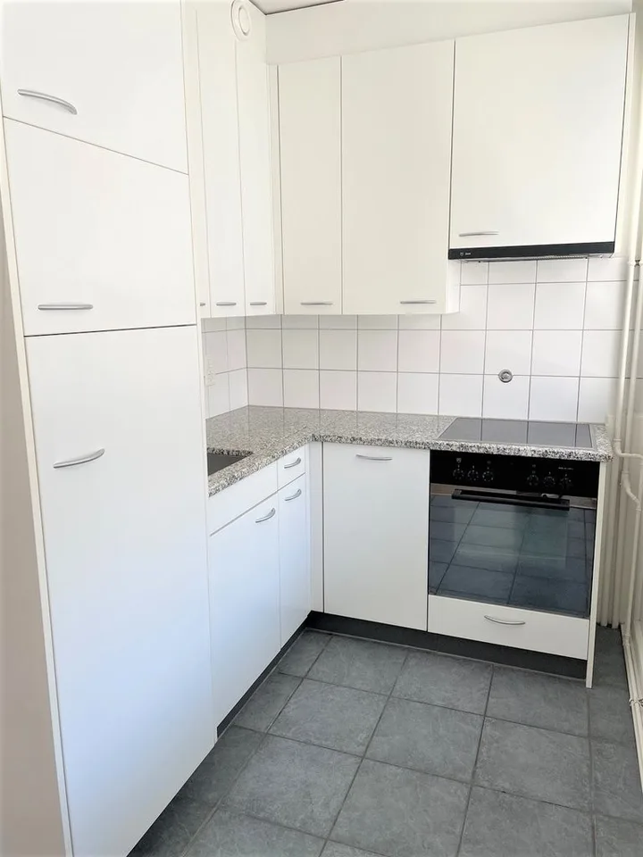 Eaux-Vives: schönes Apartment mit Balkon – Foto 3 von 11