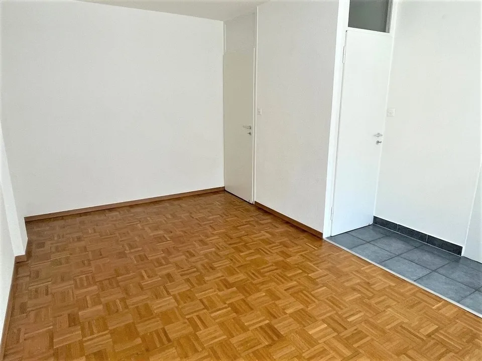 Eaux-Vives: schönes Apartment mit Balkon – Foto 5 von 11
