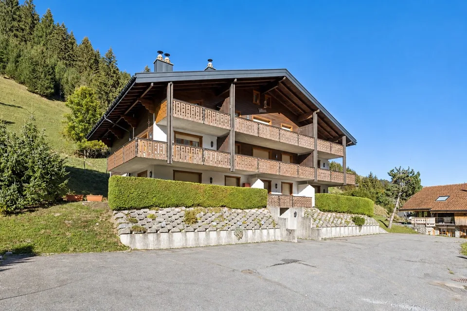 Delizioso appartamento nel cuore di Morgins - Portes du Soleil – foto 3 di 13