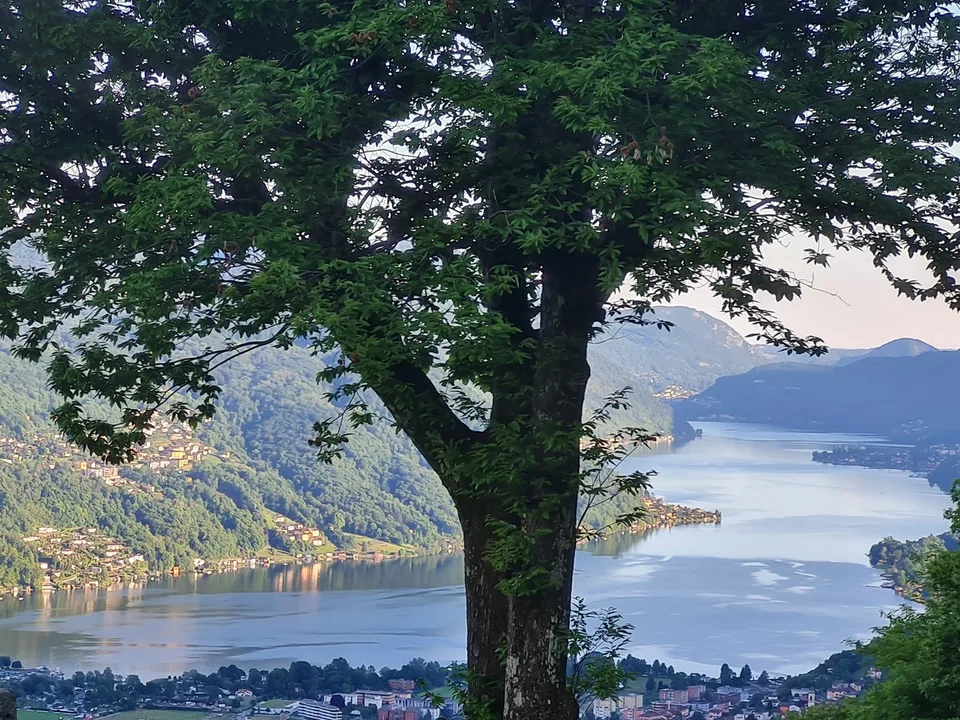 Villa d'Autore: Blick auf den Luganer- und Agno-Golf. Energetisch hochwertiger Standort – Foto 10 von 13