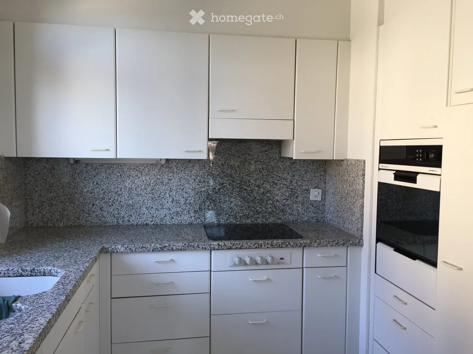 Appartement lumineux avec une vue rêveuse sur la ville de Berne – photo 11 sur 15