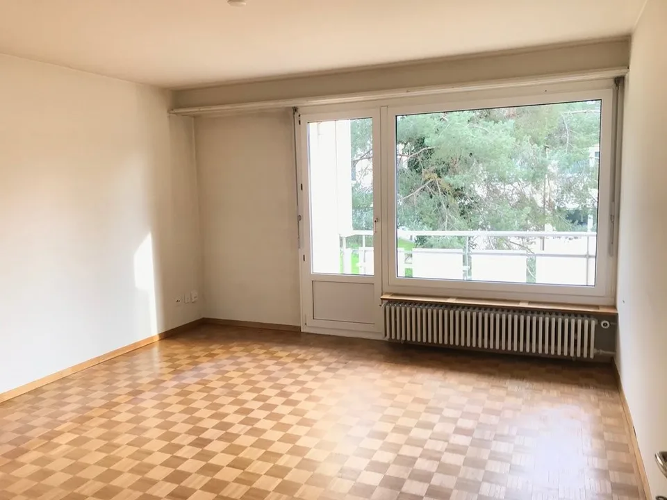 Charmante Wohnung an der Limmat zu vermieten! – Foto 6 von 7