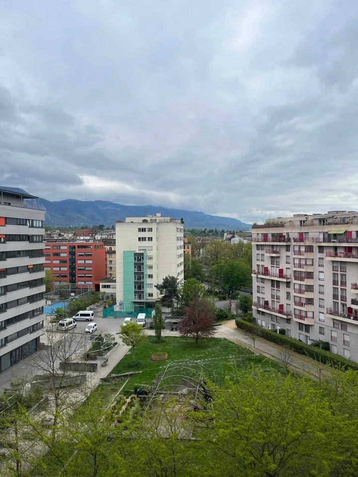 Büros 134 m2 - Sektor Plainpalais/HUG – Foto 7 von 9