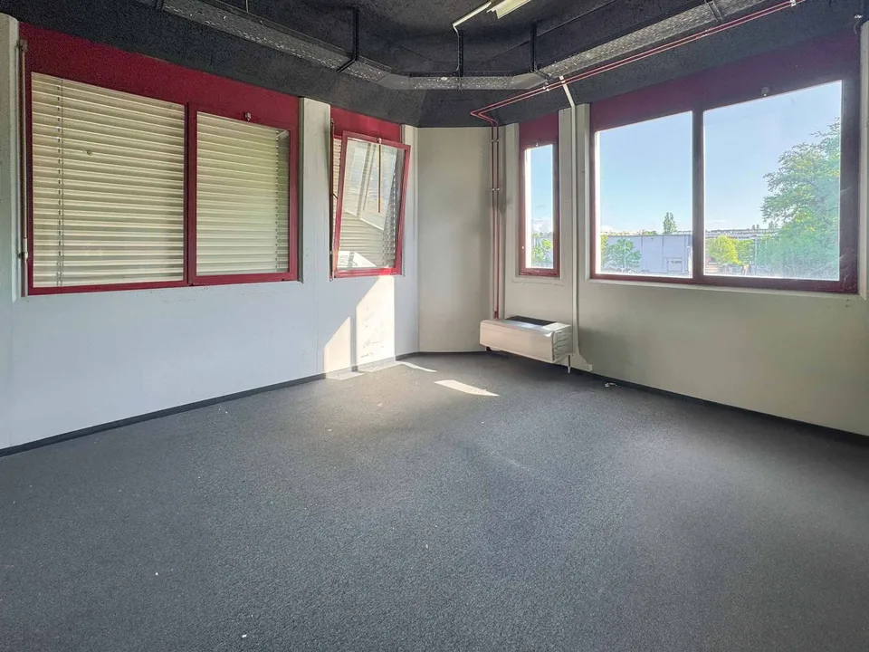 Atelier lumineux de 365 m² à Meyrin – photo 5 sur 11