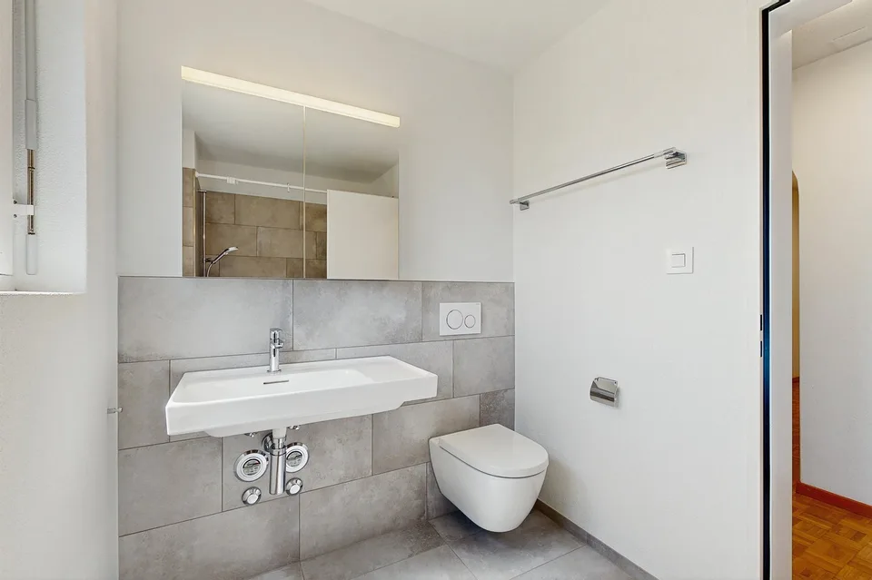 Vivere in modo moderno a Schwerzenbach, frescamente ristrutturato e ottimamente collegato! – foto 10 di 14