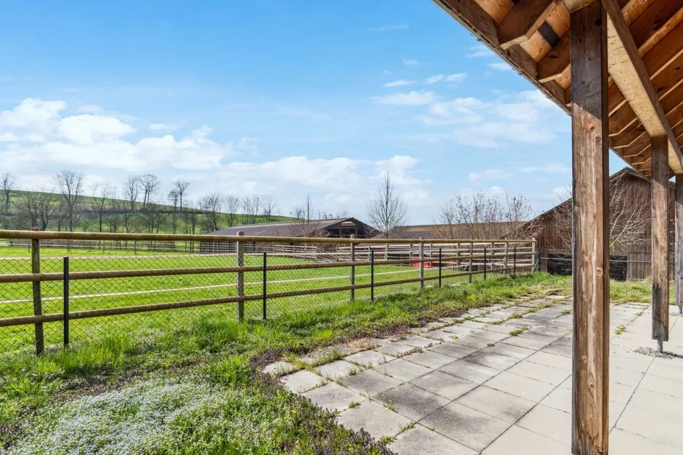 Immobilie equestre con sala di riunione e casa residenziale – foto 14 di 24
