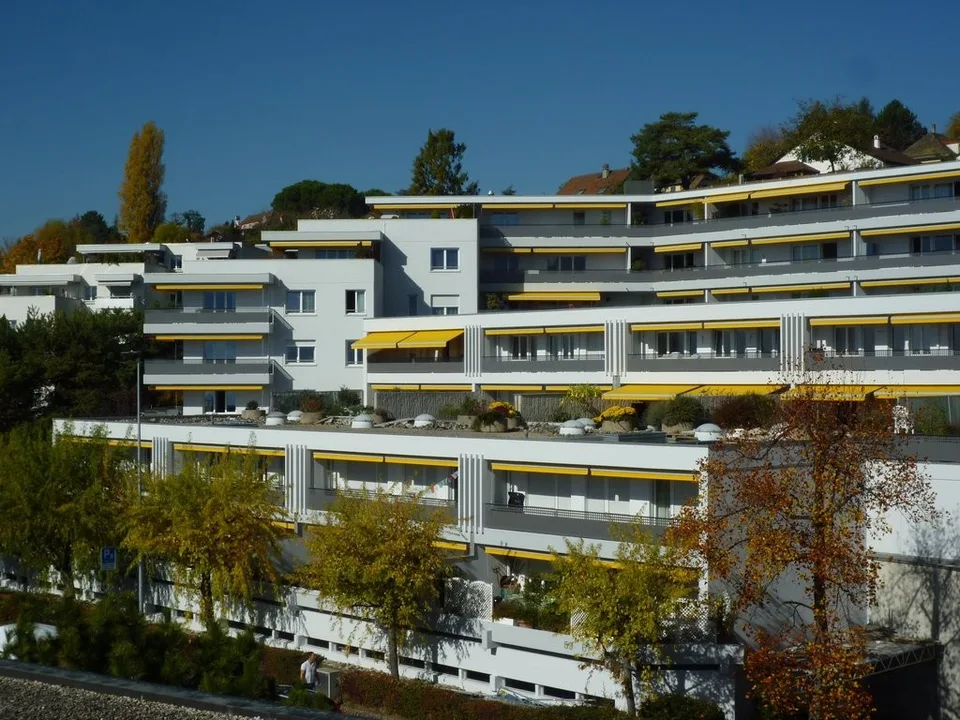 Visita di gruppo mercoledì 21 ottobre 2026 dalle 16:30 alle 17:30 – foto 2 di 3