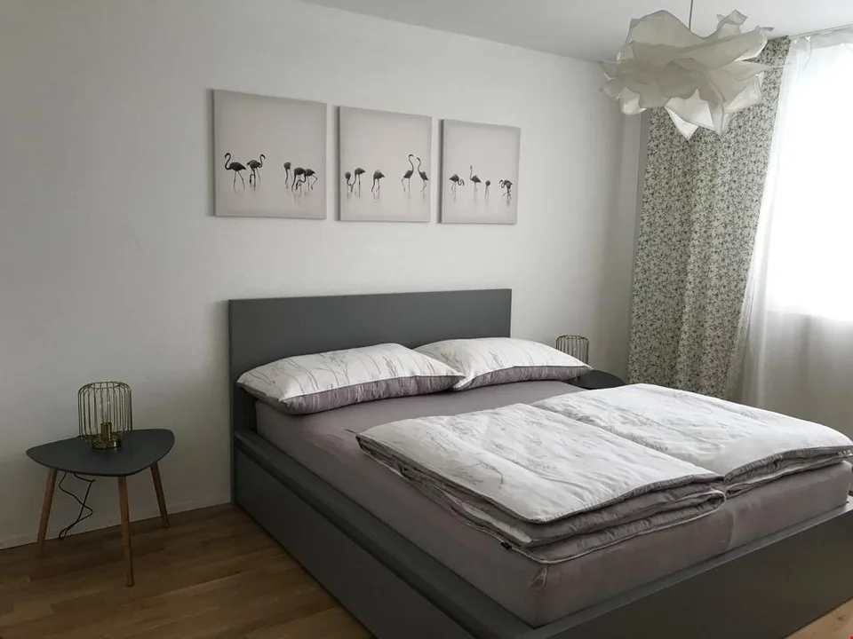 Wunderschöne helle 3,5 Gartenwohnung & gedeckte Terrasse – Foto 9 von 16