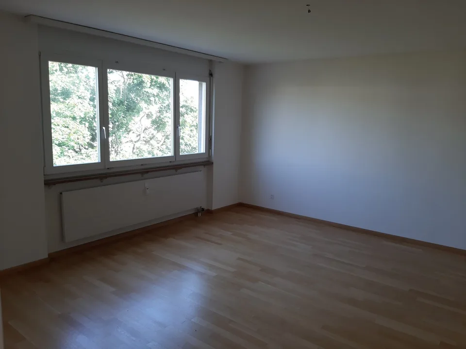 Ampio appartamento mansardato di 5 locali con grande terrazza (44 m²) – foto 10 di 13