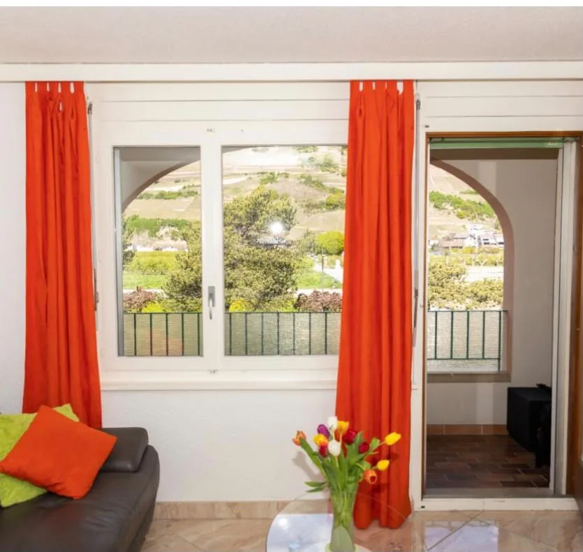 Renoviertes möbliertes Studio mit Terrasse - Saillon-les-Bains – Foto 3 von 5